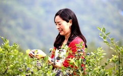 一边喘气一边叫疼的扑克